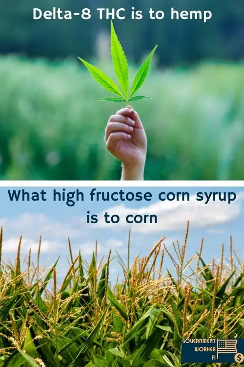 Delta-8 THC is to hemp what high fructose corn syrup is to corn visual analogy